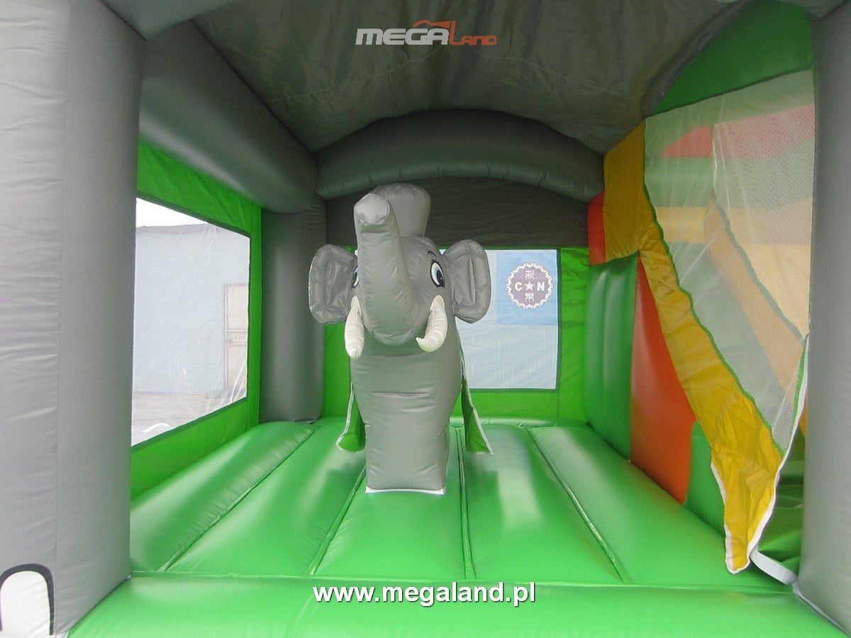 C.Slonik1 1 Combo Słonik - obrazek 4