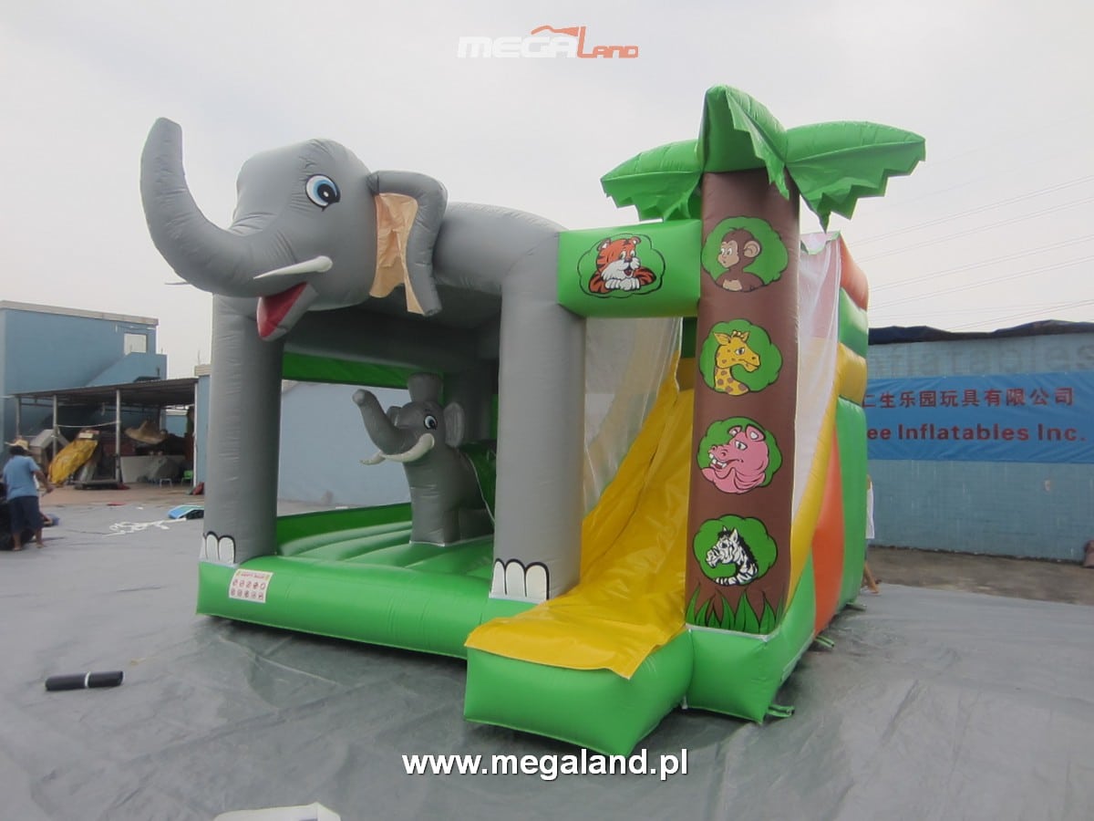 C.Slonik3 1 Combo Słonik - obrazek 2