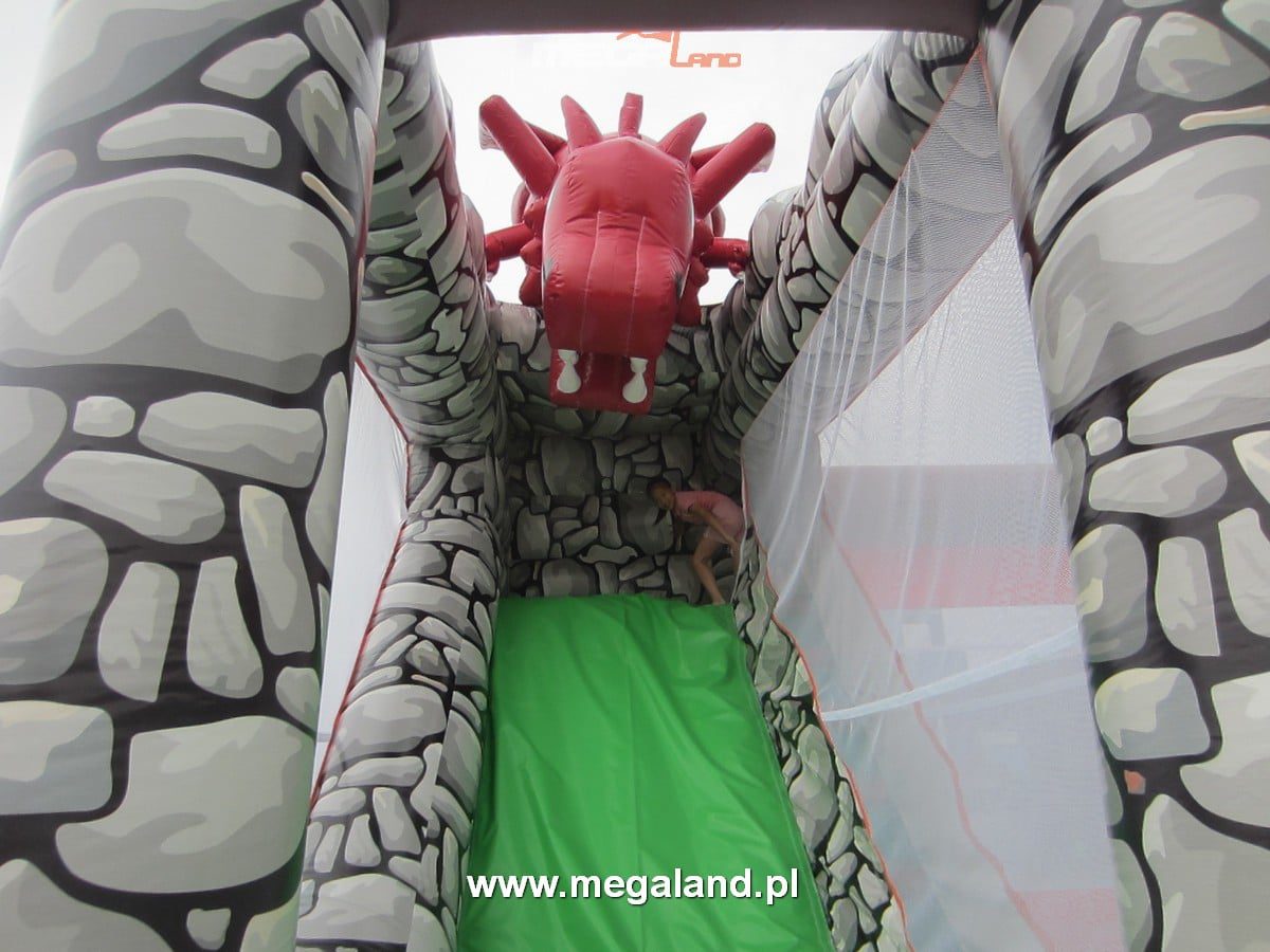 C.Dinozaur1 1 Combo Dinozaur - obrazek 4