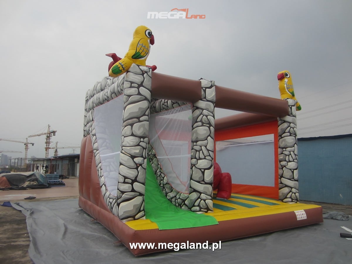 C.Dinozaur3 1 Combo Dinozaur