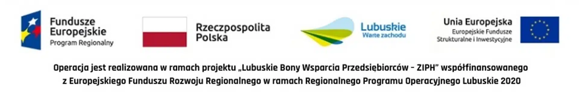 Logotypy instytucji wspierających projekt Luzbuskie 2020.